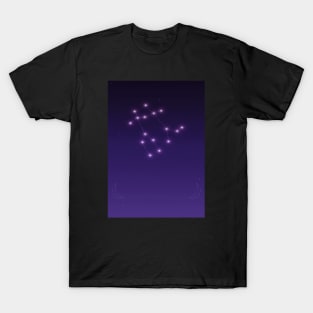 Gemini constellation T-Shirt